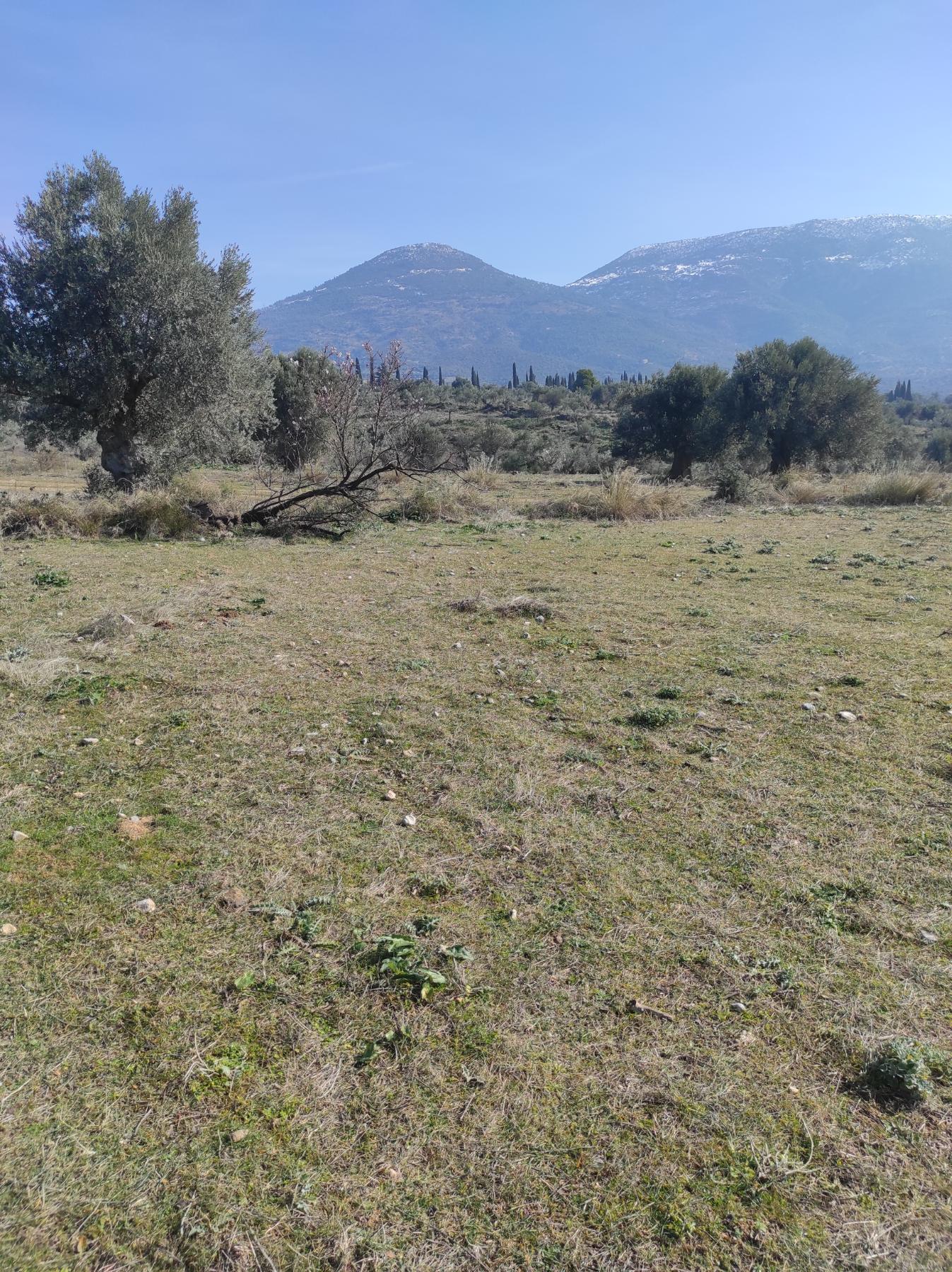 ΟΙΚΟΠΕΔΑ 2 ΓΥΜΝΟΥ (2)