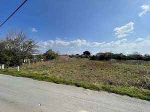 ΠΟΛΙΤΙΚΑ 2